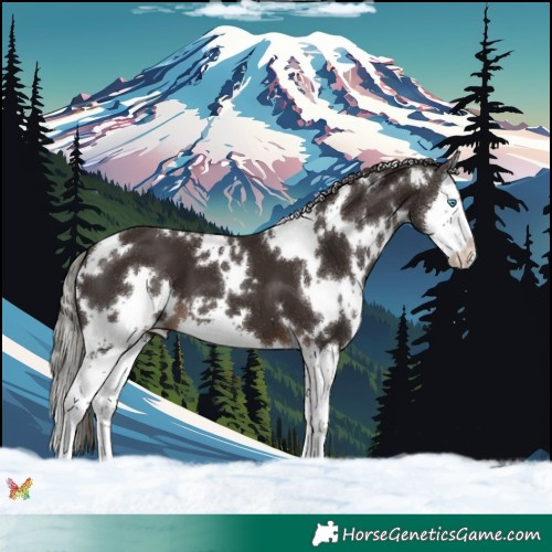 Horse Color:White Spotted Liver Chestnut Mushroom Splash 