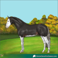 Horse Color:Liver Chestnut Mushroom Splash