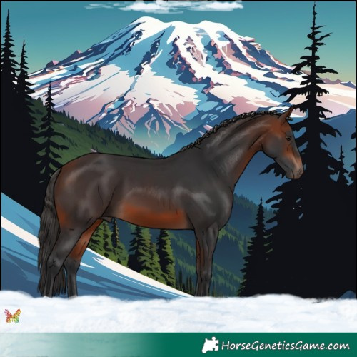 Horse Color:Bay Mushroom 