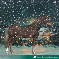Horse Color:Liver Chestnut Mushroom 