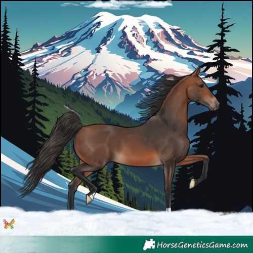 Horse Color:Bay Mushroom 