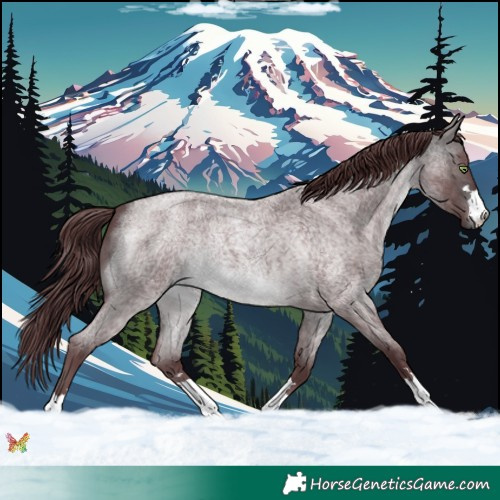 Horse Color:Platinum Chocolate Buckskin Roan 
