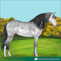 Horse Color:Bay Chinchilla Ice Roan