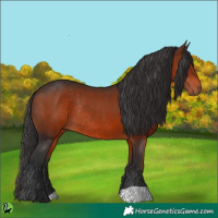 Horse Color:Brown Rabicano 