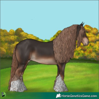 Horse Color:Liver Chestnut Sabino Tobiano 