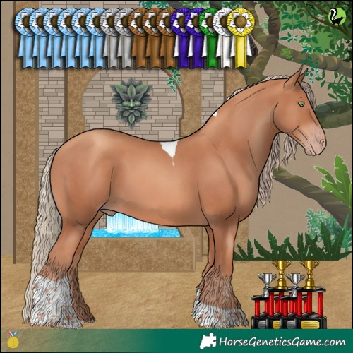 Horse Color:Gold Champagne Tobiano