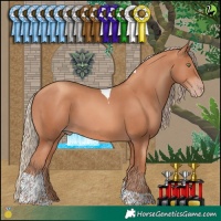 Horse Color:Gold Champagne Tobiano