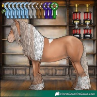 Horse Color:Gold Champagne Tobiano 