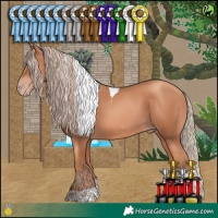 Horse Color:Gold Champagne Tobiano 