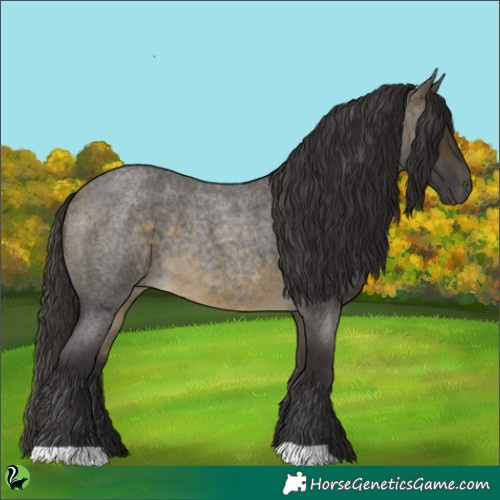 Horse Color:Buckskin Roan 