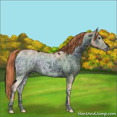 Horse Color:ERROR: UNKNOWN ANOMALY