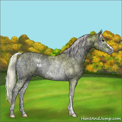 Horse Color:Watercolor Silver Bay Ice Pearl Onyx Rabicano 