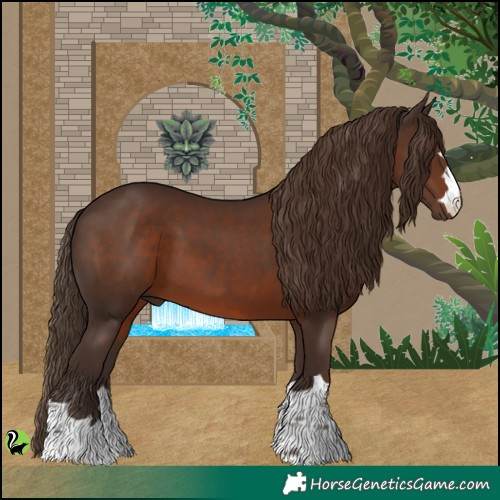 Horse Color:Liver Chestnut 