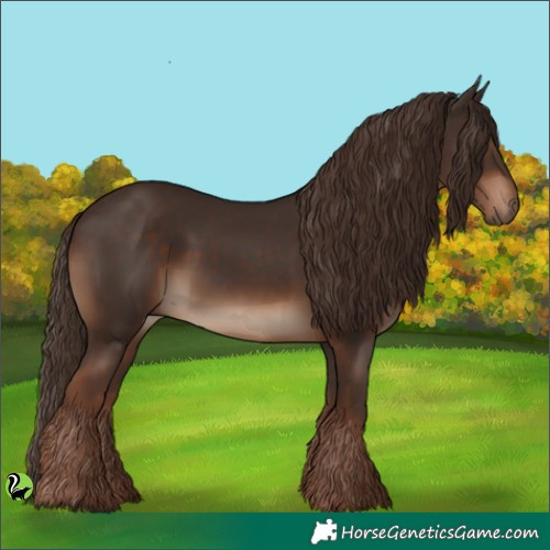Horse Color:Liver Chestnut 