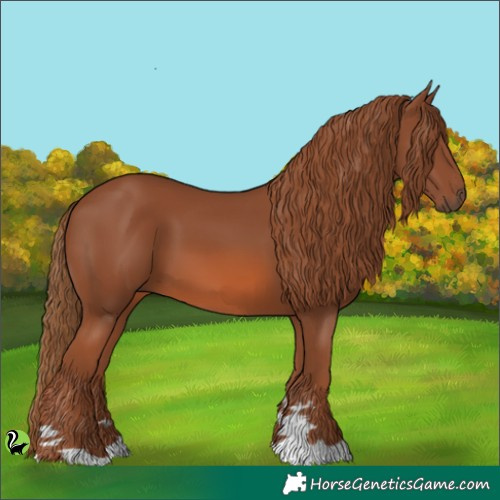 Horse Color:Chestnut 