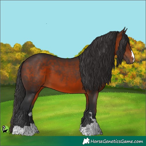 Horse Color:Brown 