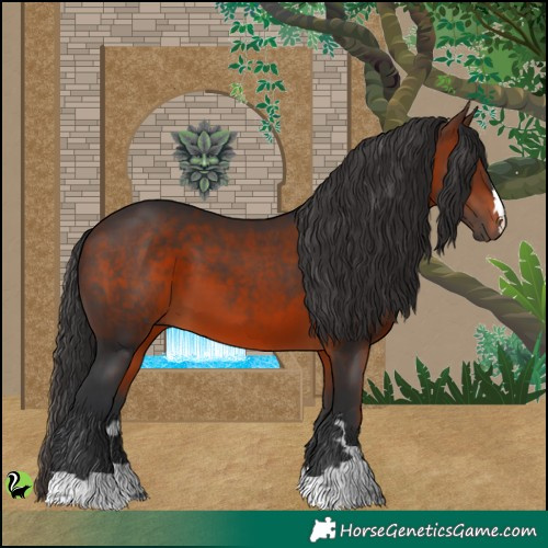 Horse Color:Brown 