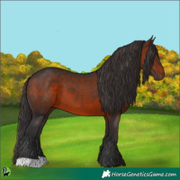 Horse Color:Brown 