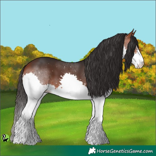 Horse Color:Brown Splash 