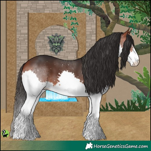 Horse Color:Brown Splash 