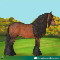 Horse Color:Brown 