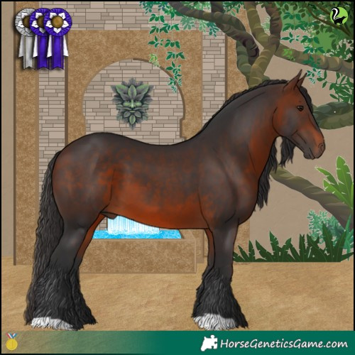 Horse Color:Brown 