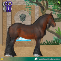 Horse Color:Brown 