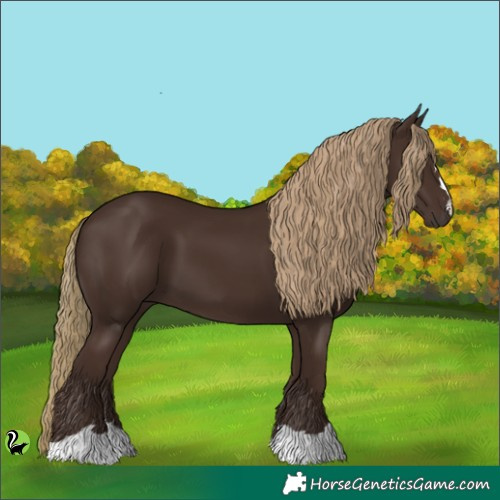 Horse Color:Liver Chestnut 