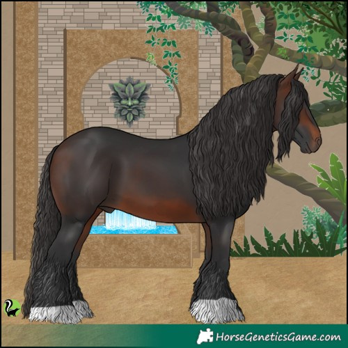 Horse Color:Brown 