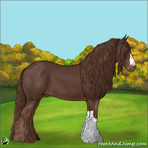 Horse Color:Liver Chestnut 