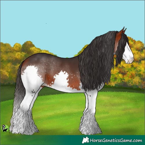 Horse Color:Brown Splash 