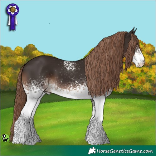Horse Color:White Spotted Liver Chestnut 