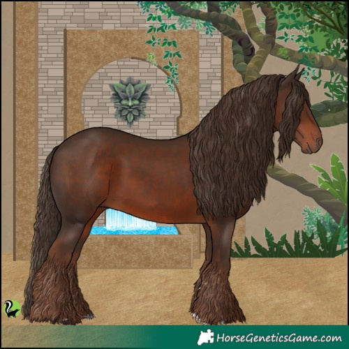 Horse Color:Liver Chestnut 