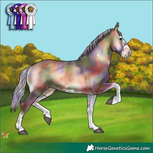 Horse Color:Nacre Silver Brown Onyx Splash Frame Rabicano 