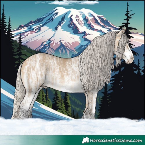 Horse Color:Silver Buckskin Ice Dun Sabino 