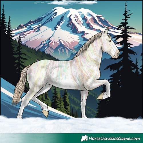 Horse Color:Palomino Ice Sabino 