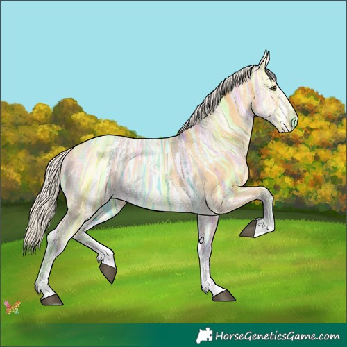 Horse Color:Silver Buckskin Ice Dun Sabino 