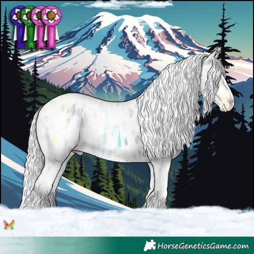 Horse Color:Perlino Ice Sabino Appaloosa 
