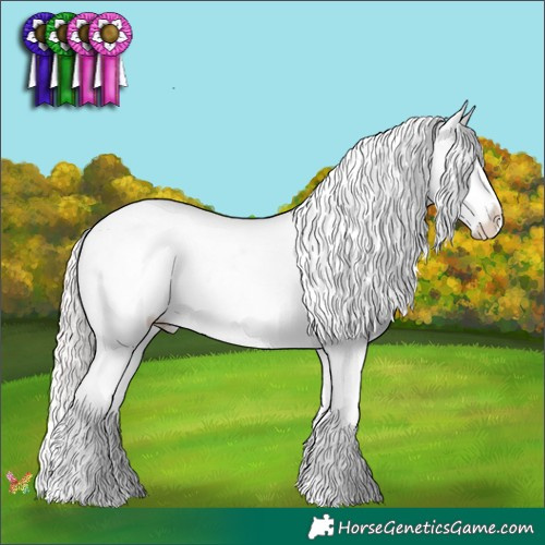 Horse Color:Perlino Ice Sabino Appaloosa 
