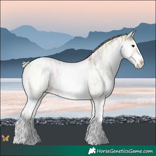 Horse Color:White Spotted Silver Buckskin Ice Sabino 