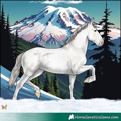 Horse Color:White Spotted Silver Buckskin Ice Sabino 