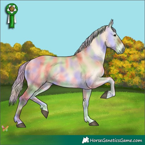 Horse Color:Nacre Silver Bay Onyx 
