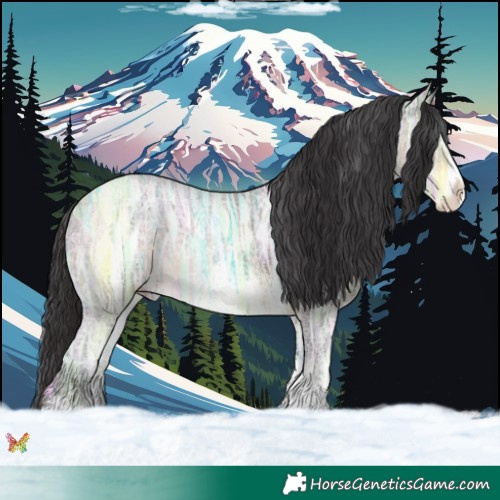 Horse Color:Buckskin Ice Sabino 