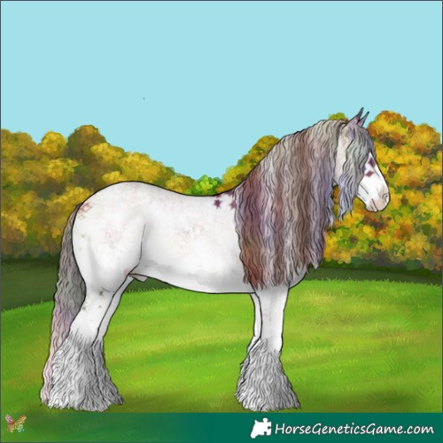 Horse Color:Nacre White Spotted Red Onyx Splash 