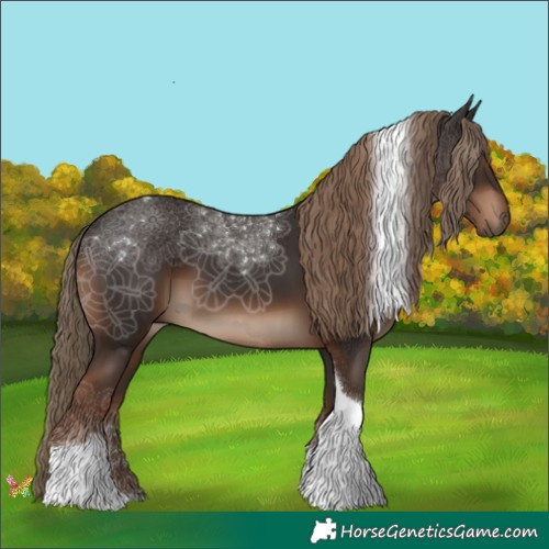 Horse Color:Liver Chestnut Tobiano