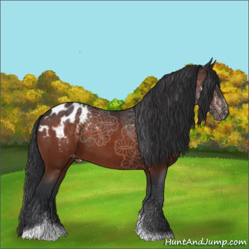 Horse Color:Brown Tobiano Appaloosa 