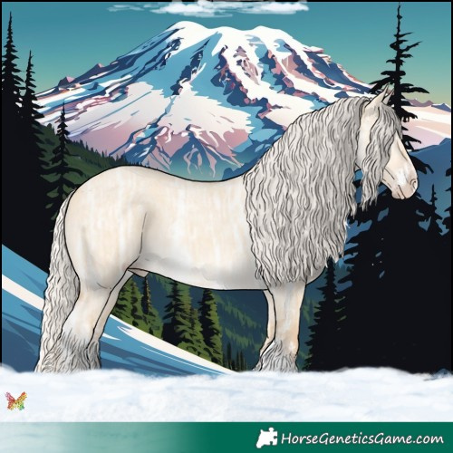 Horse Color:Silver Amber Cream Champagne Ice Dun Sabino 