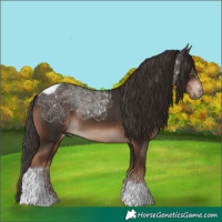 Horse Color:Liver Chestnut Tobiano 