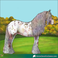 Horse Color:Nacre White Spotted Silver Bay Onyx Appaloosa 