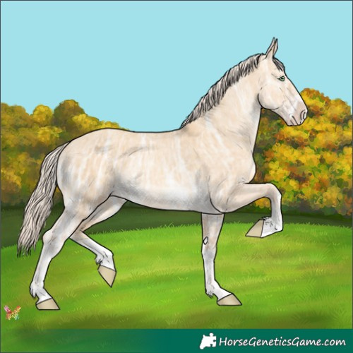 Horse Color:Gold Cream Champagne Ice Dun Sabino 